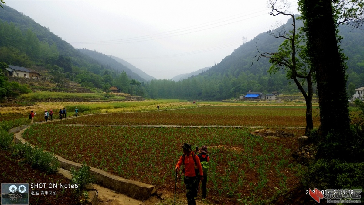 P10512-111902.jpg
