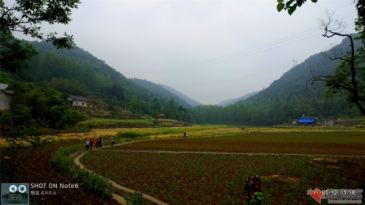 P10512-111910.jpg