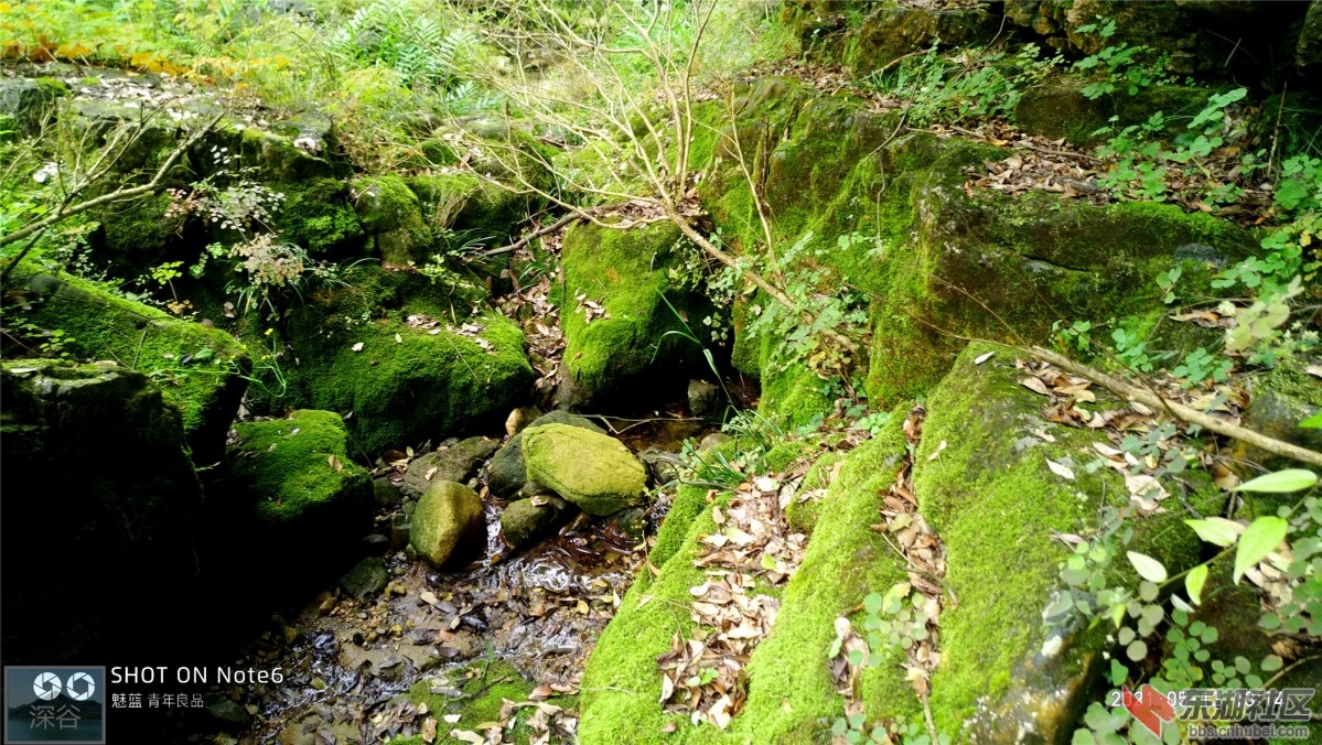 P10512-131445.jpg