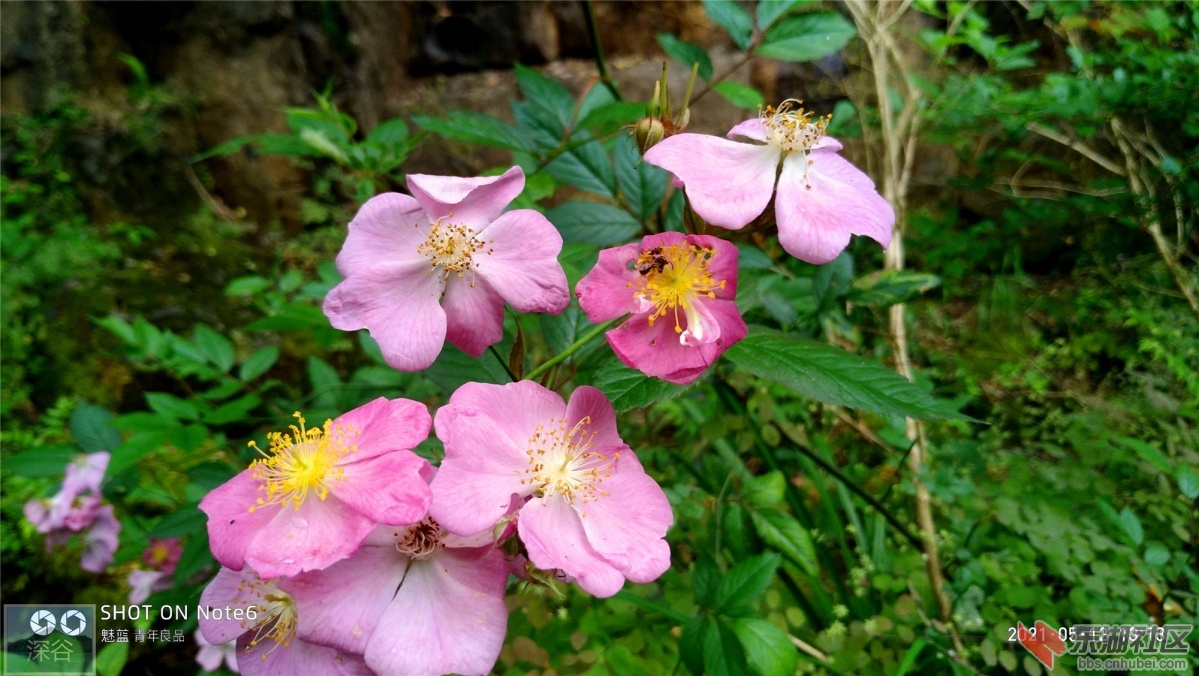 P10512-131329.jpg