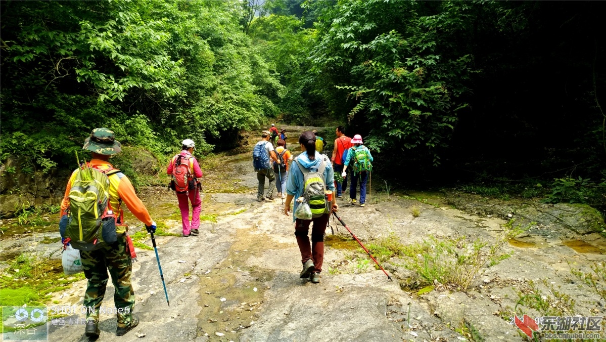 P10512-140121.jpg