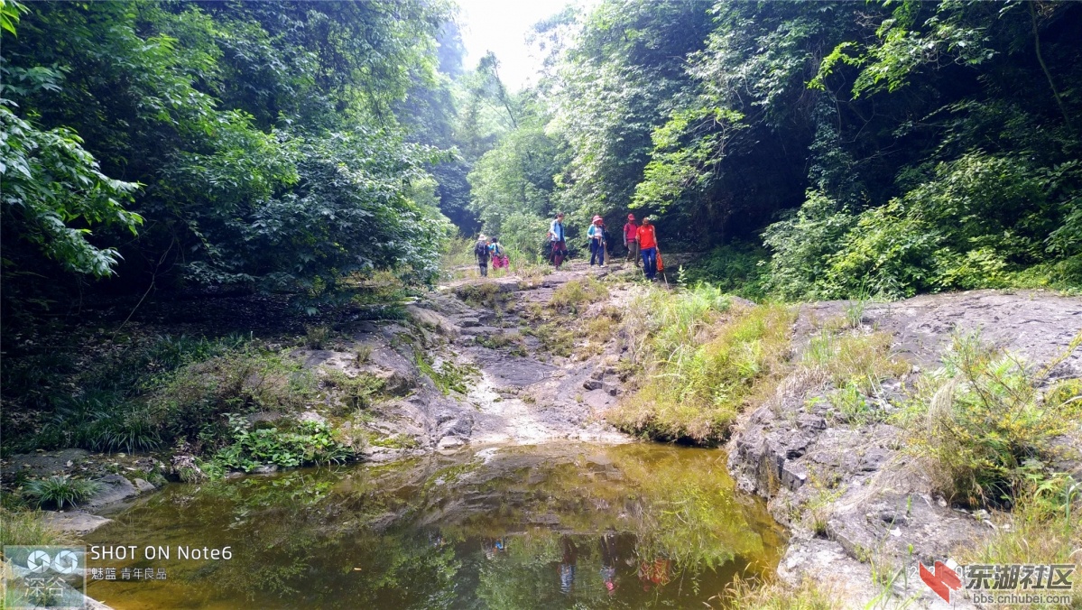 P10512-135957.jpg