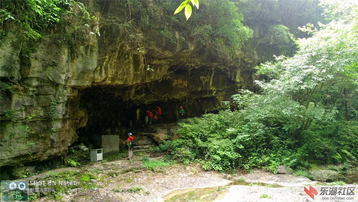 P10512-140250.jpg