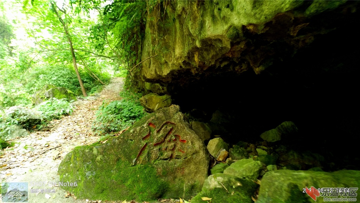 P10512-140444.jpg