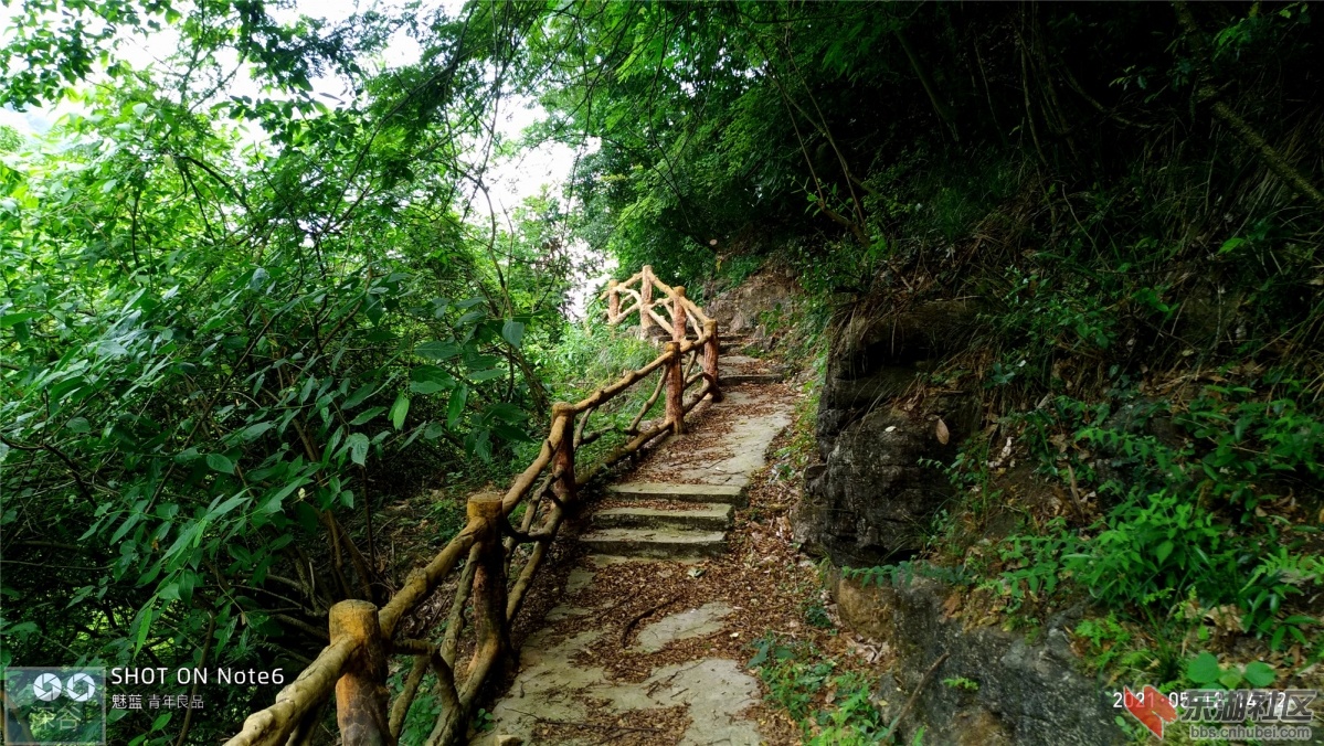 P10512-141223.jpg