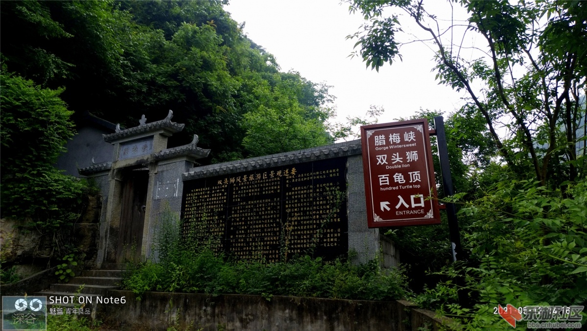 P10512-141613.jpg