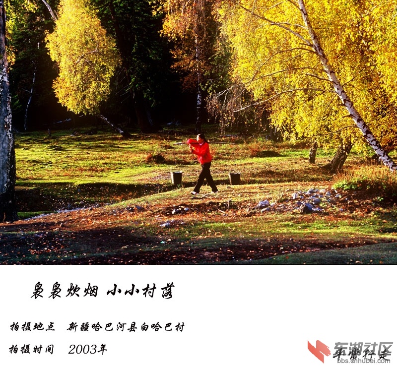 681 (62)-1.jpg