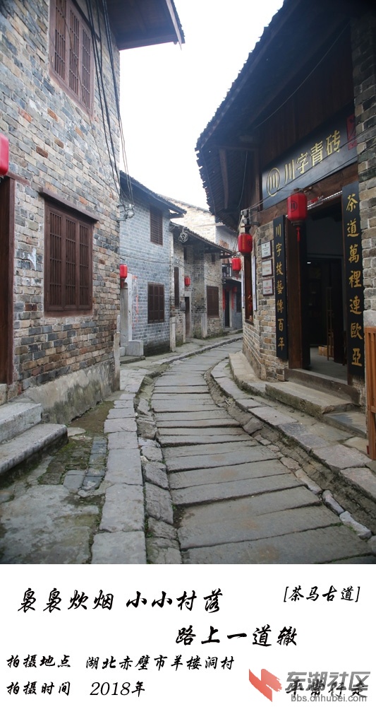 681 (321)-3.jpg
