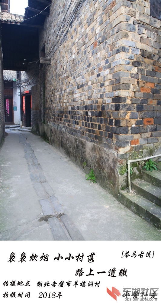 681 (321)-1.jpg