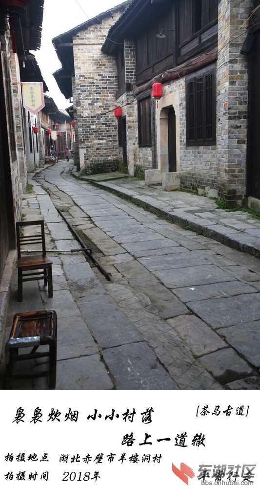 681 (321)-2.jpg