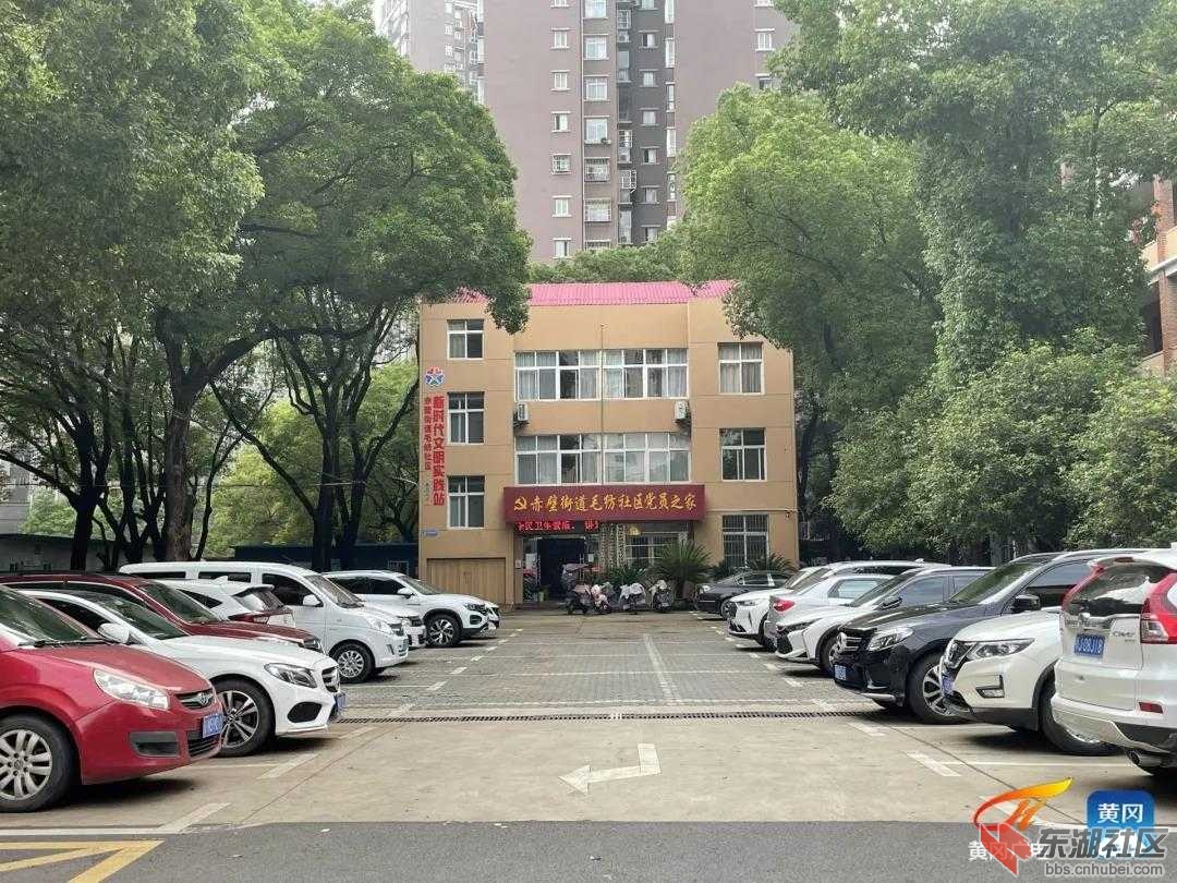 6f3dd3cc08c8cd5d.jpg