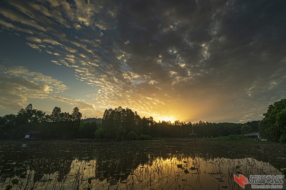 2.东湖的早晨 曾院平摄影.jpg