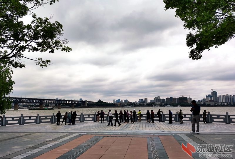 qq图片20210525160052.jpg