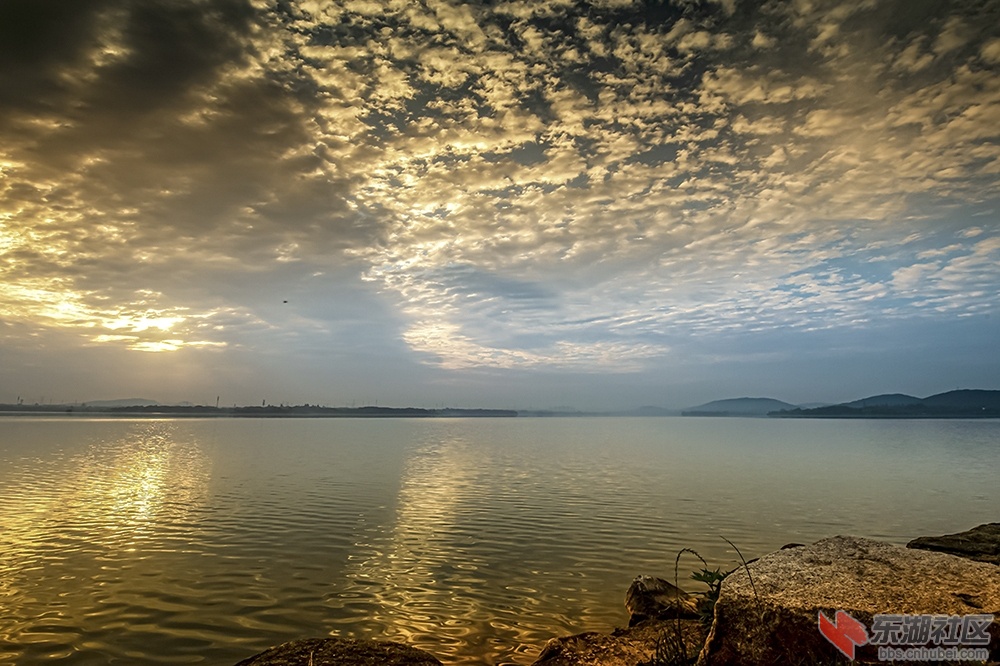6.大美东湖抓拍不完的美景 曾院平摄影.jpg