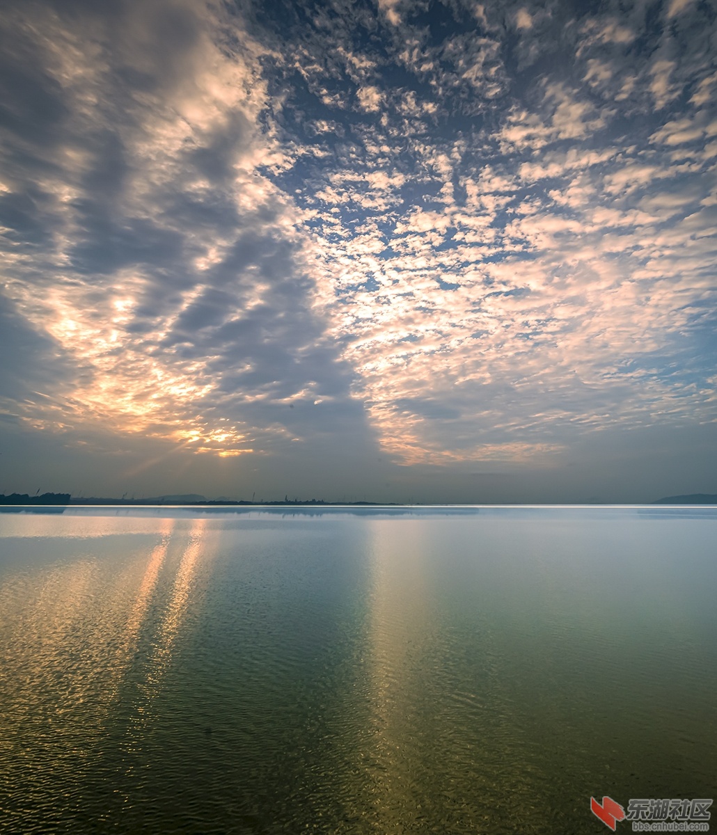 4.大美东湖抓拍不完的美景 曾院平摄影.jpg