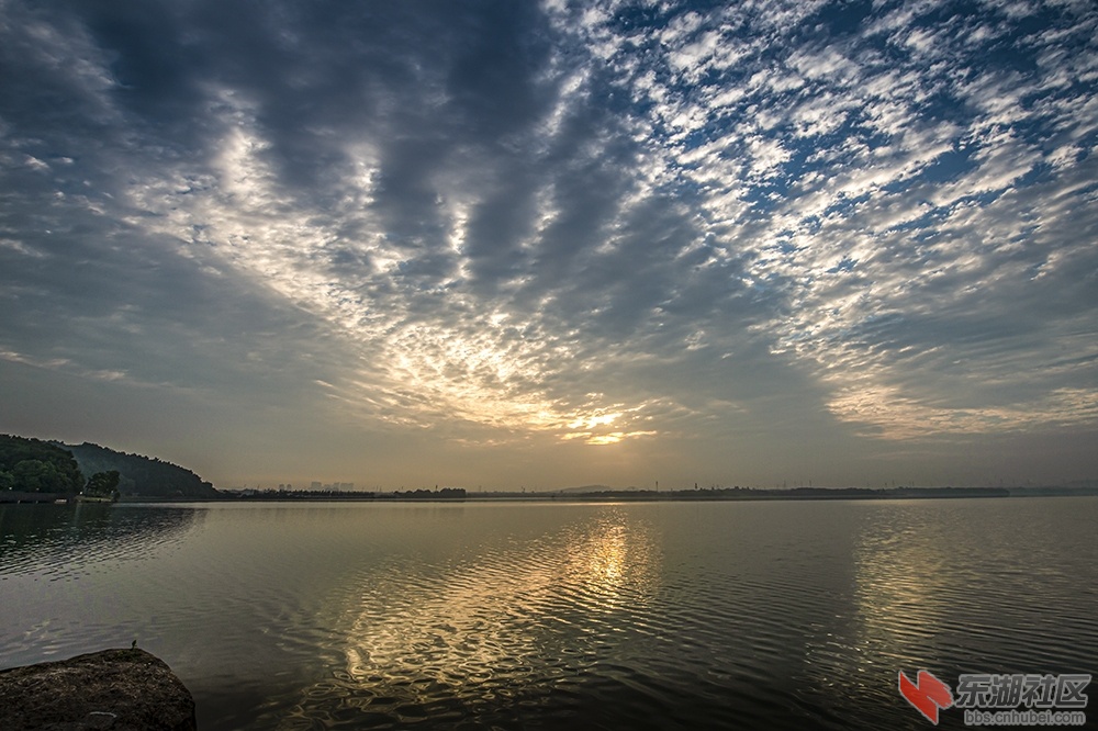 2.大美东湖抓拍不完的美景 曾院平摄影.jpg