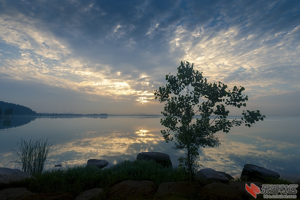 1..大美东湖抓拍不完的美景 曾院平摄影.jpg