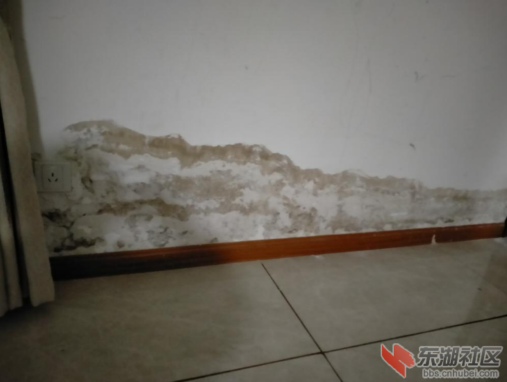 qq截图20210601100318.png