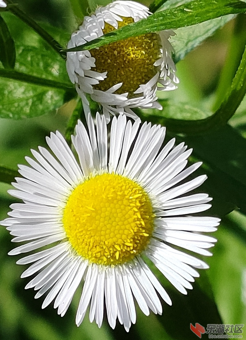 IMG20210604100532.jpg