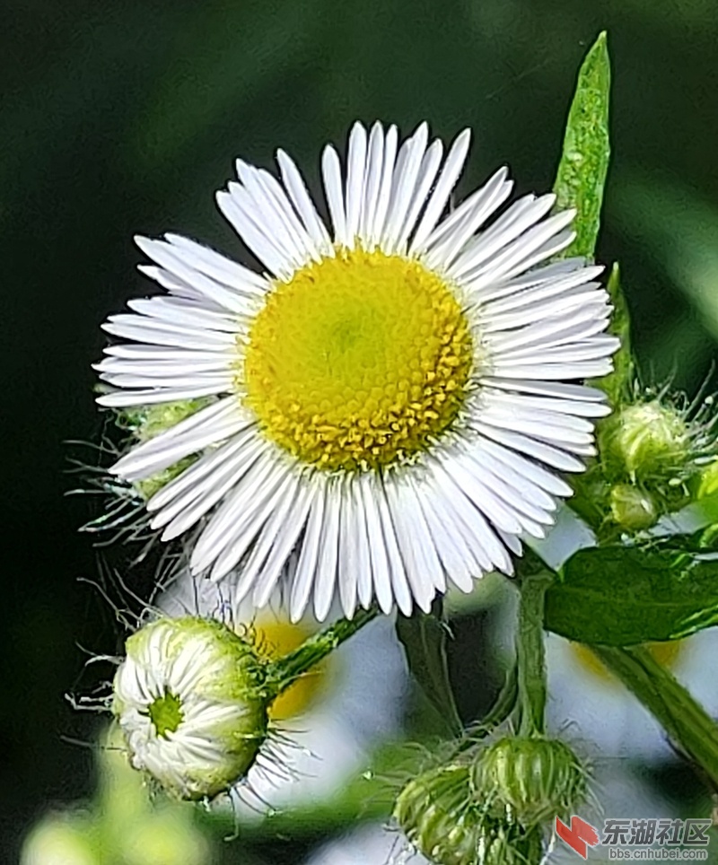 IMG20210604100556.jpg