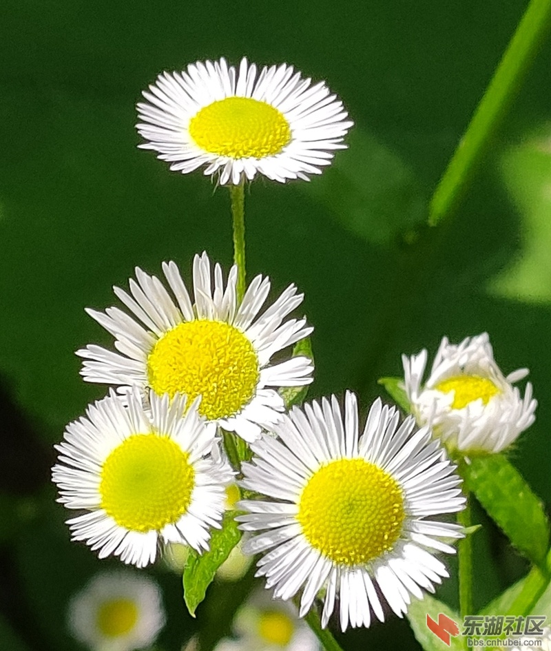 IMG20210604100619.jpg