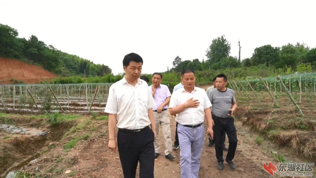 微信图片_20210604212853.jpg
