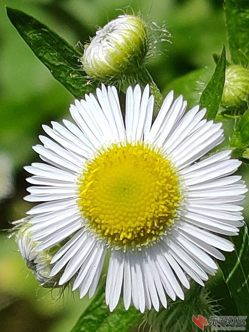 IMG20210605094623.jpg