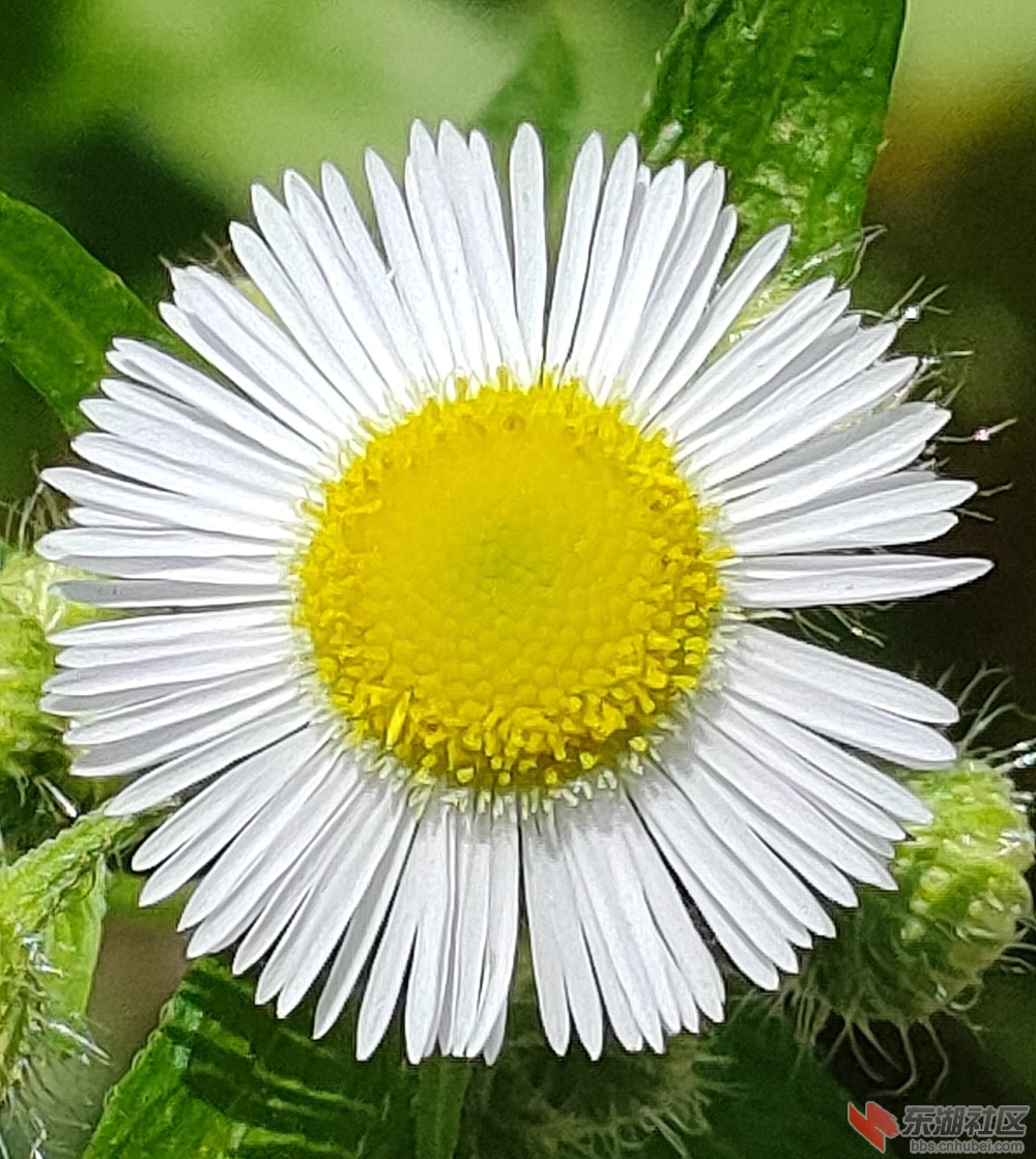IMG20210605094640.jpg