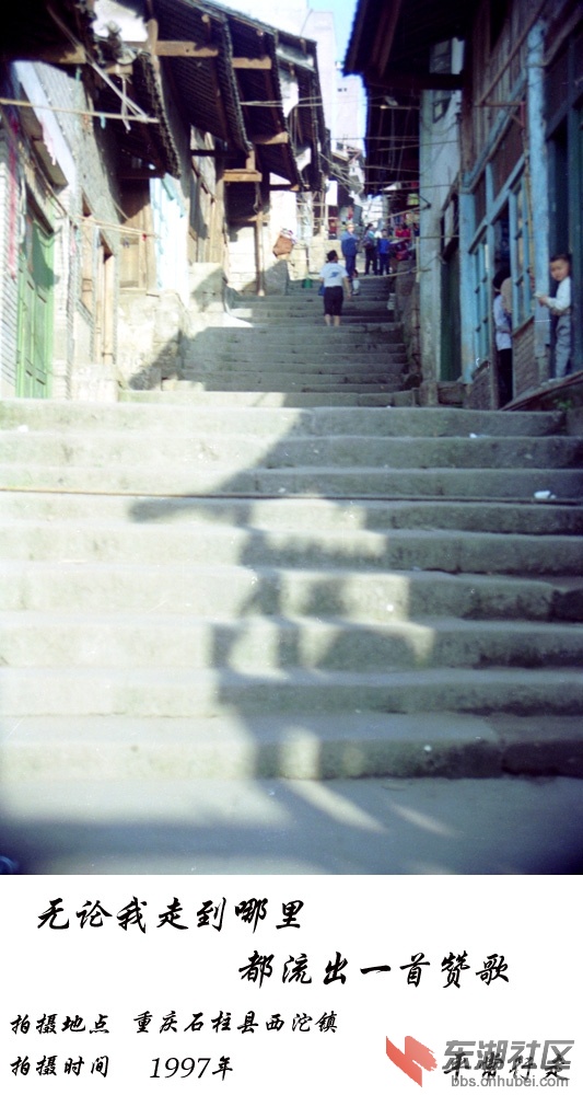 1015.jpg