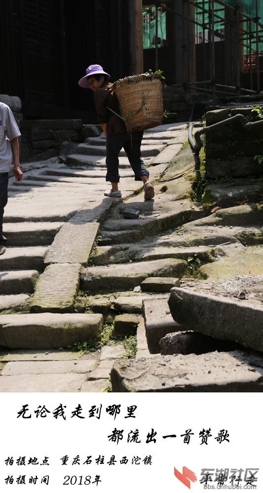 1007.jpg