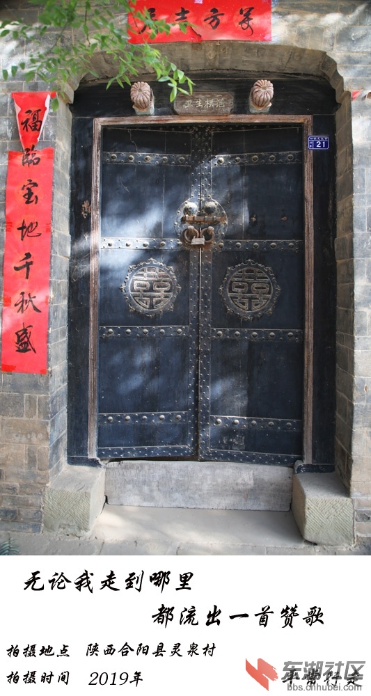681 (220)-13.jpg