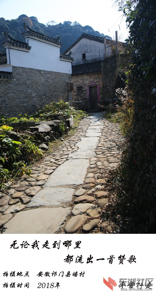 681 (262)-15.jpg