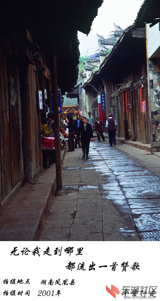 681 (323)-15.jpg