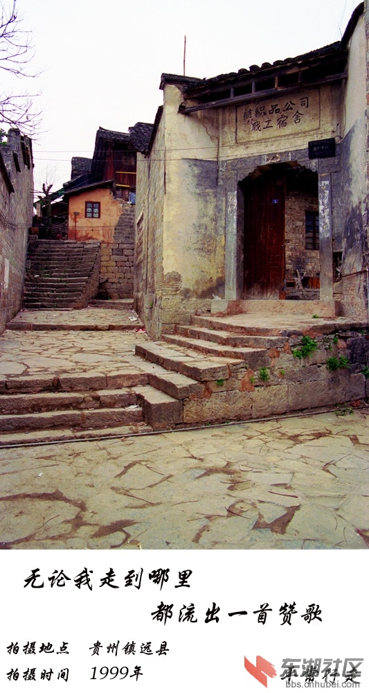 681 (138)-19.jpg
