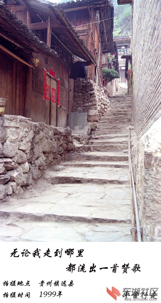 681 (138)-22.jpg