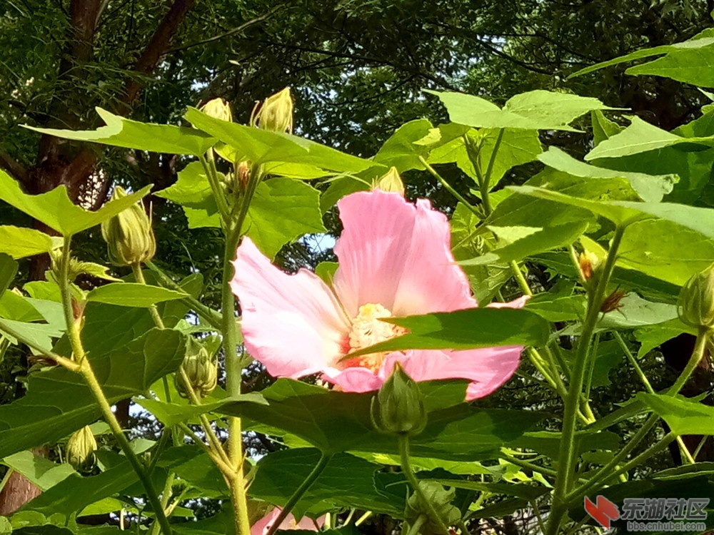 IMG_20210622_081349_副本.jpg
