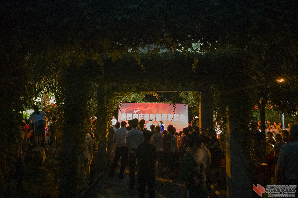 3.社区喜庆建党百年联欢会曾院平摄影 拷贝.jpg