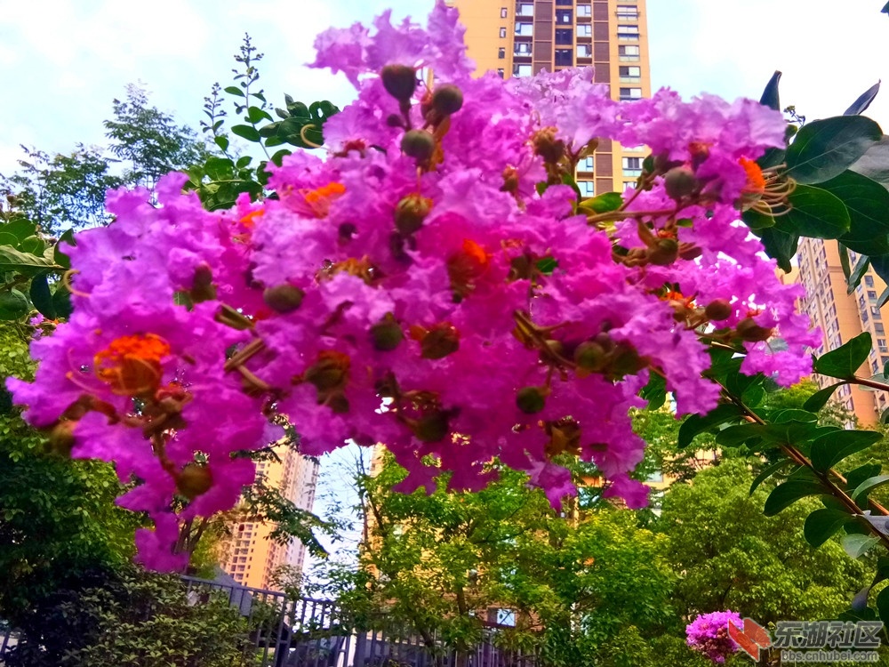 IMG_20210626_081804_副本.jpg