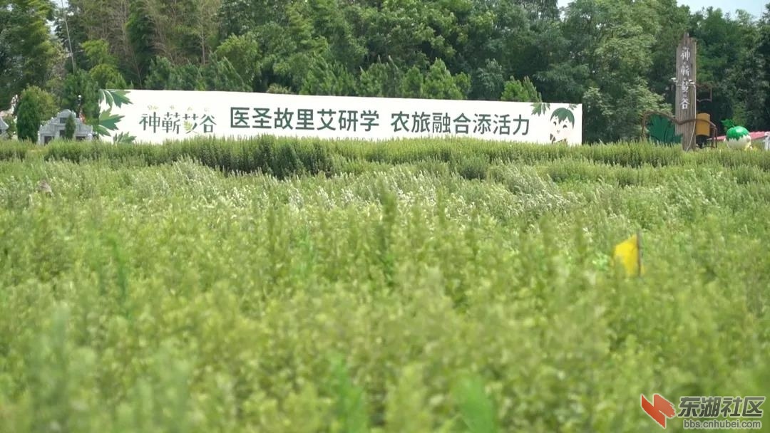 微信图片_20210630213453.jpg