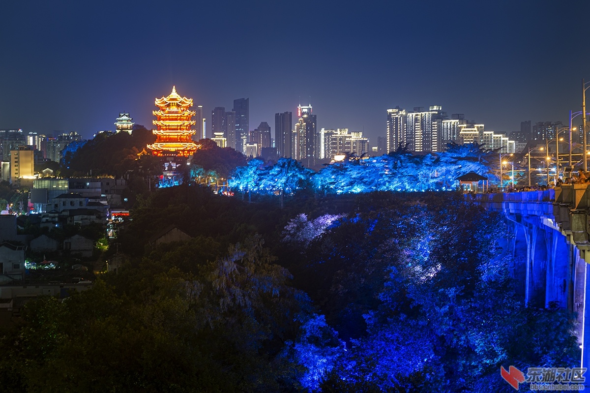 5.黃鹤楼的灯光 曾院平摄影.jpg