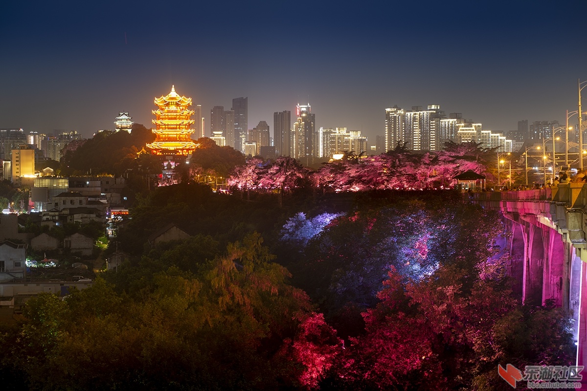 4.黃鹤楼的灯光 曾院平摄影.jpg