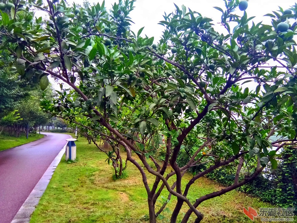IMG_20210704_081355_副本.jpg
