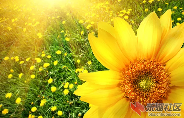 IMG_20210708_091940.png