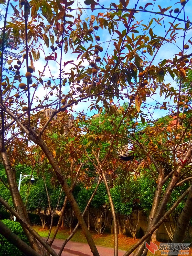 IMG_20210708_081533_副本.jpg