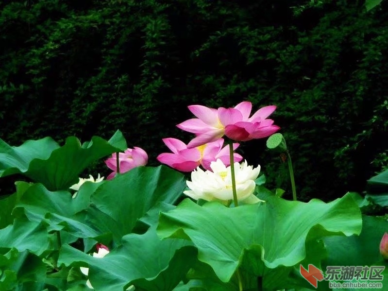IMG_20210703_101355.jpg