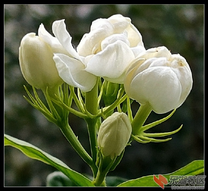 001sIZO5zy7O5qlTO579d.jpg