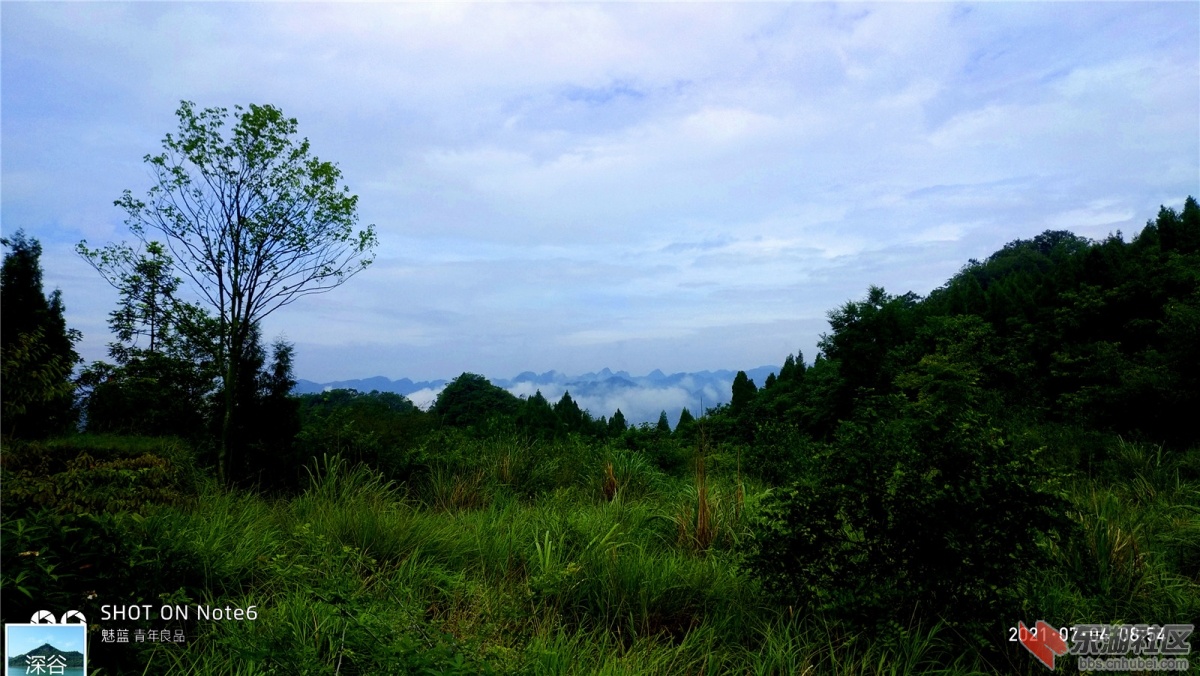 P10704-085411.jpg