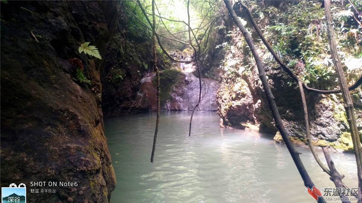 P10704-113354.jpg