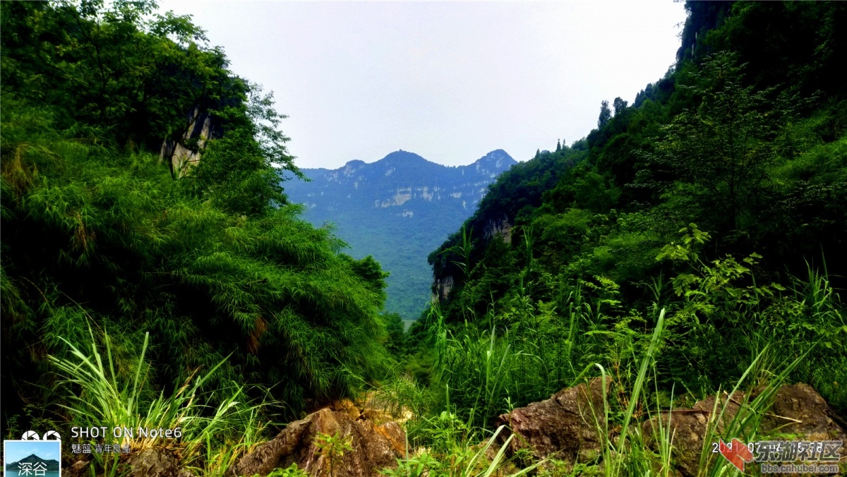 P10704-153854.jpg