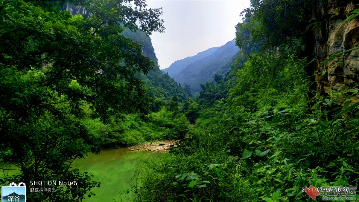 P10704-163006.jpg